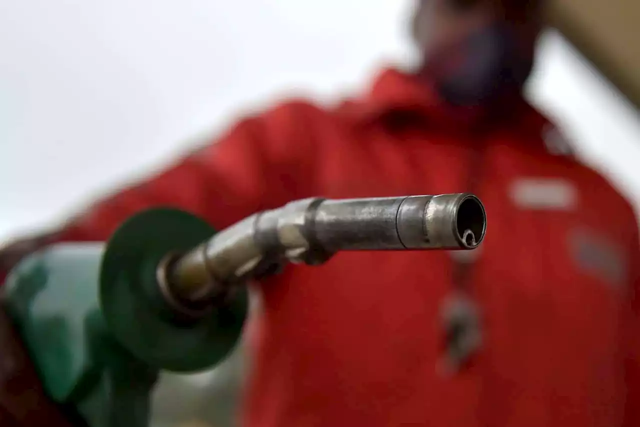 Fuel price: More pain for South Africans' pockets, but no need to panic