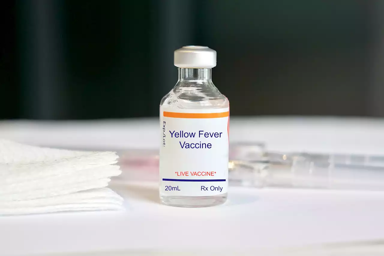 Yellow fever outbreak in Kenya – Here's how to deal with it