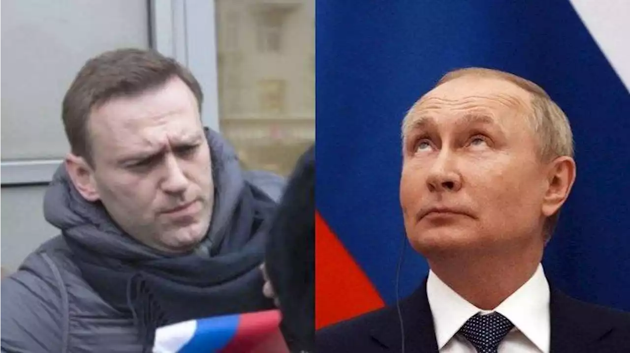 Profil Alexey Navalny, Kritikus Putin Paling Vokal yang Dinyatakan Bersalah atas Penipuan - Tribunnews.com