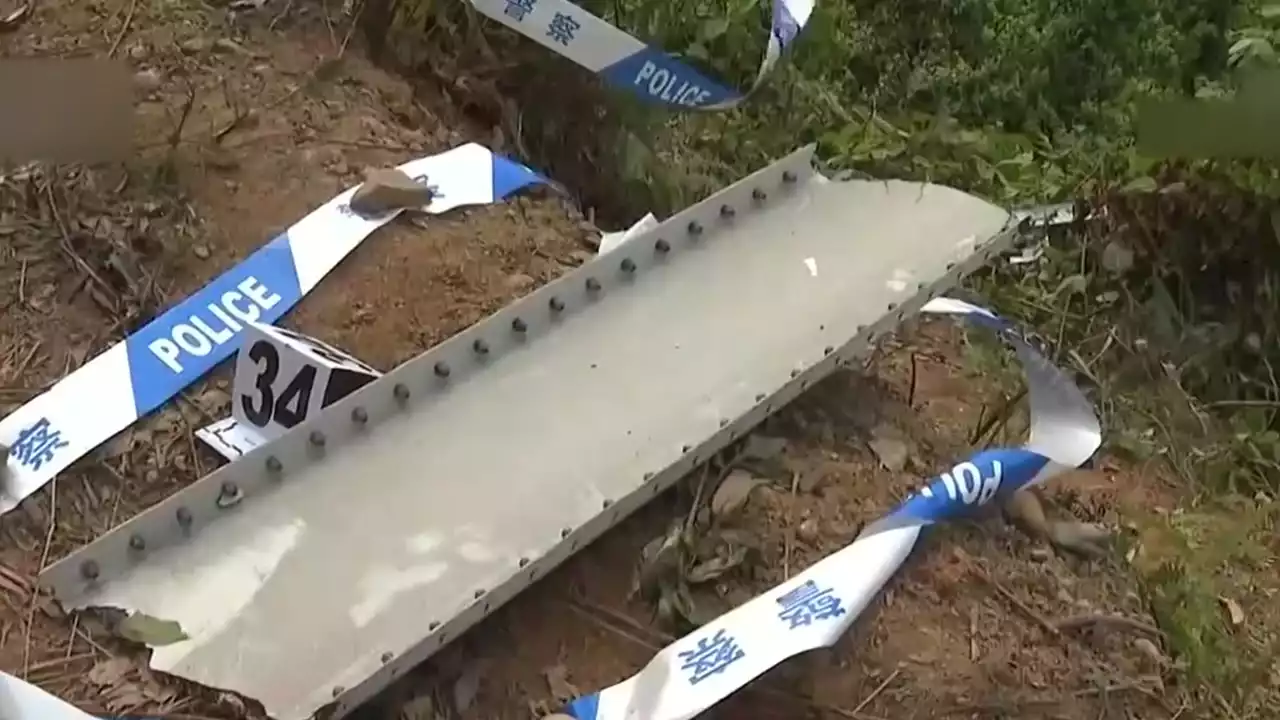 8천m 상공에서 의문의 '수직 추락'...탑승자 132명 모두 사망한 듯