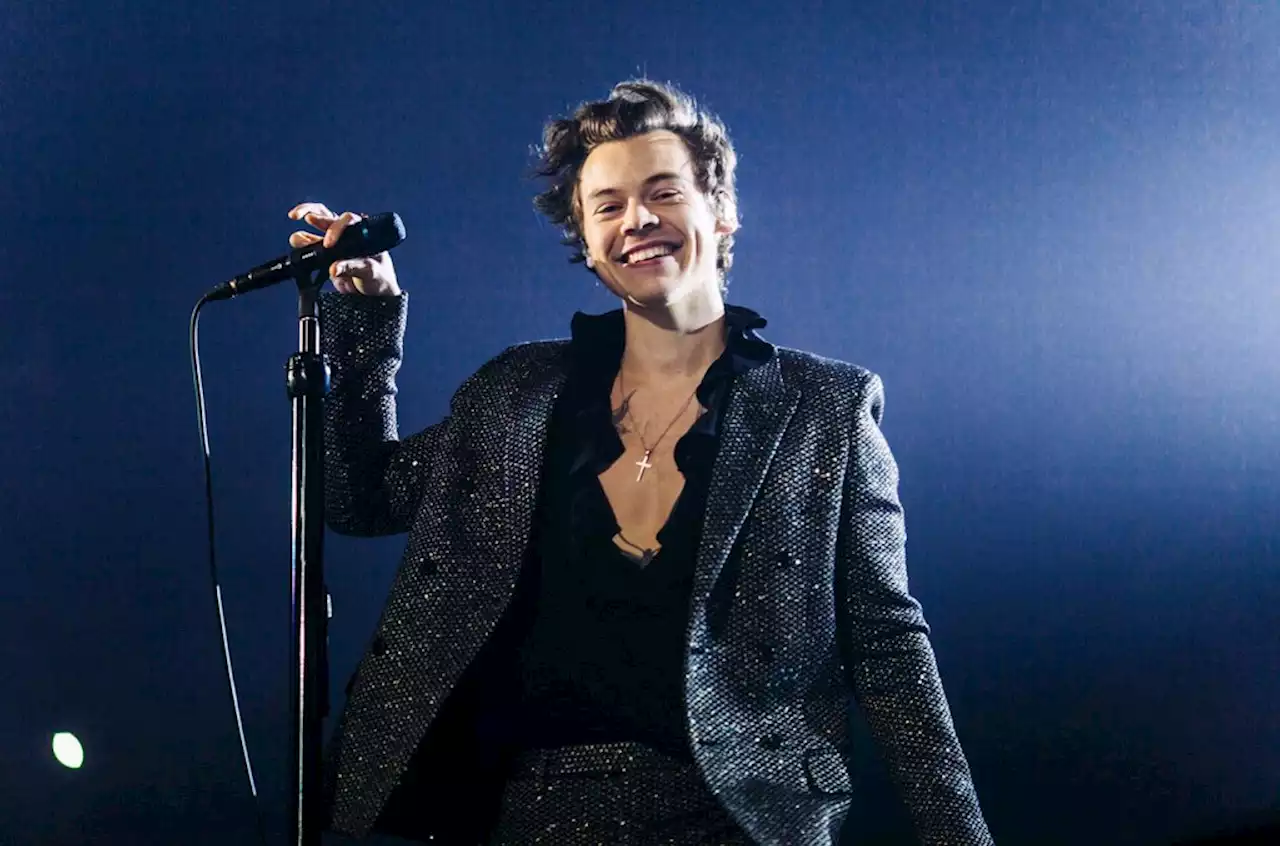 Harry Styles Fans Are Putting Together Their Best Theories for Mysterious ‘You Are Home’ Site