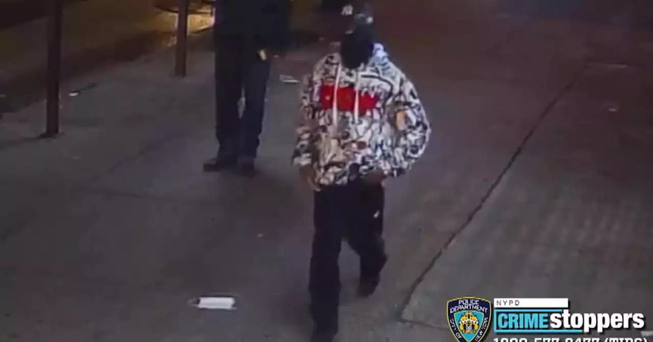 Police arrest Rasheen Davis, 39, following last week's attempted rape in Harlem