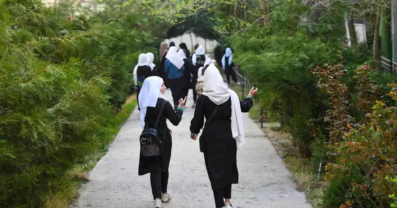 Afganistán: en el primer día de clases, los talibán vetan la educación superior para las niñas