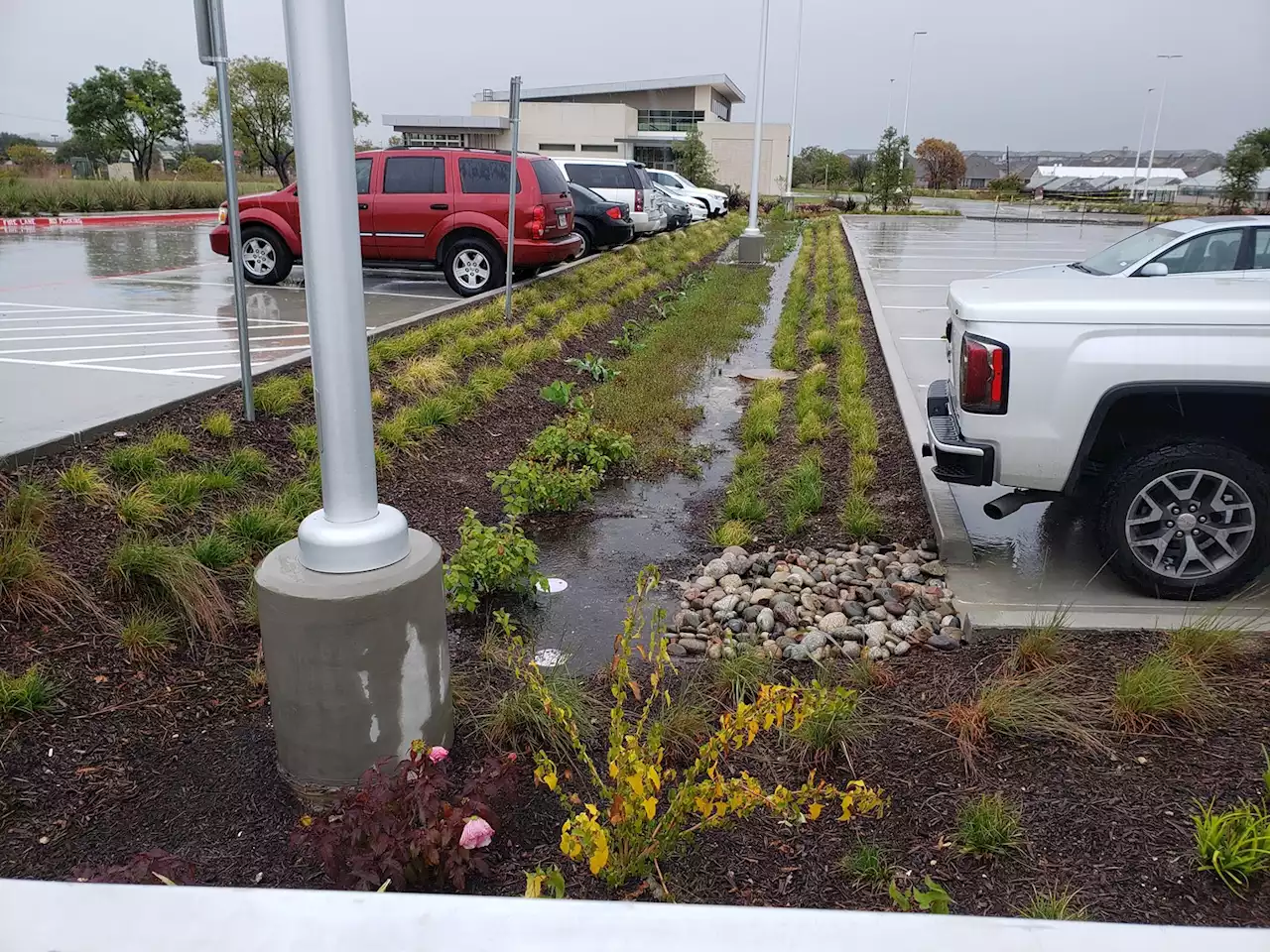 Green Stormwater Infrastructure in Dallas Could Lead to Fewer Floods