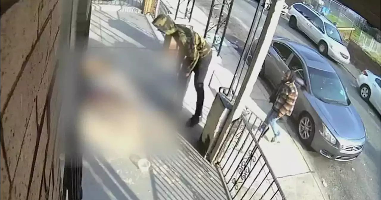 Watch now: 2 men sought after dogs attack cat in Philadelphia