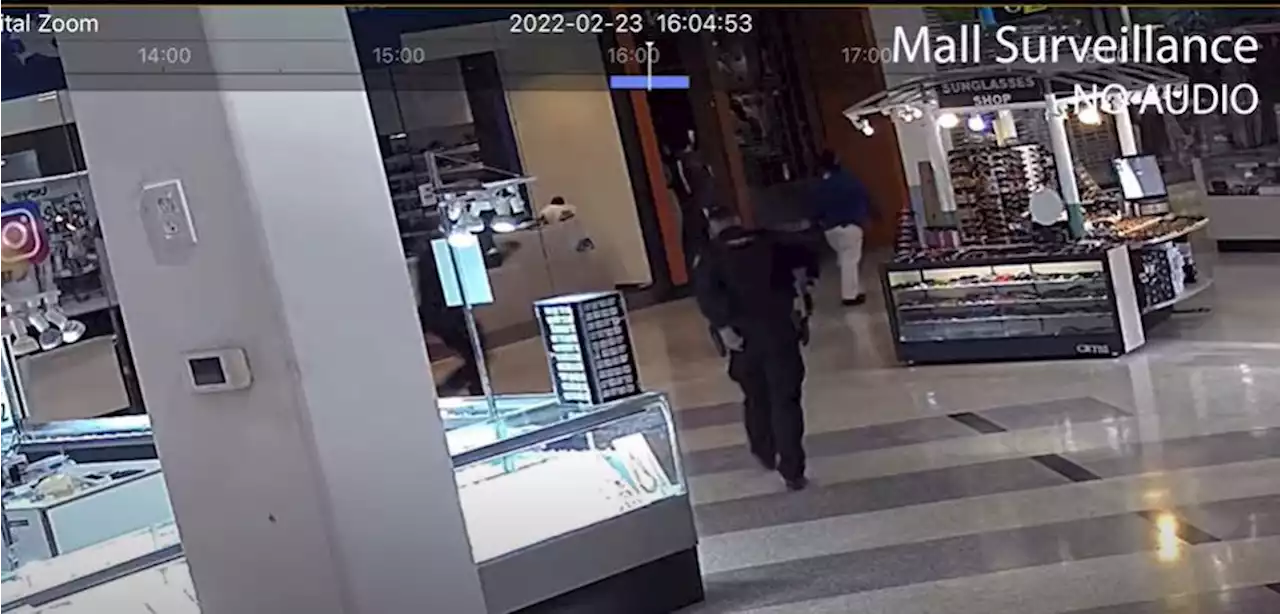 New video shows man wielding ice pick slain by Houston cop after shooting deputy in Sharpstown mall