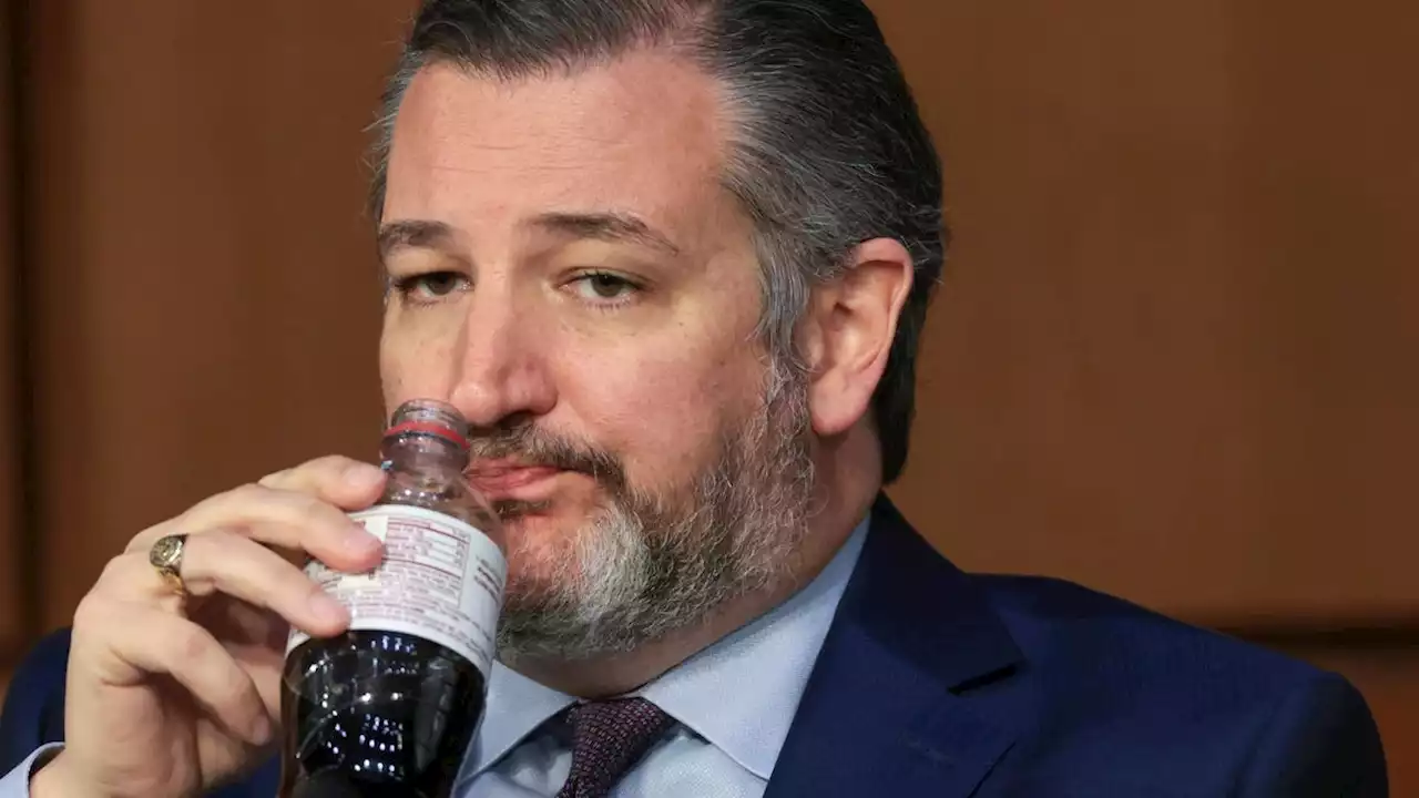 Ted Cruz Chugs Diet Dr. Peppers While Being Racist, Discussing Child Porn