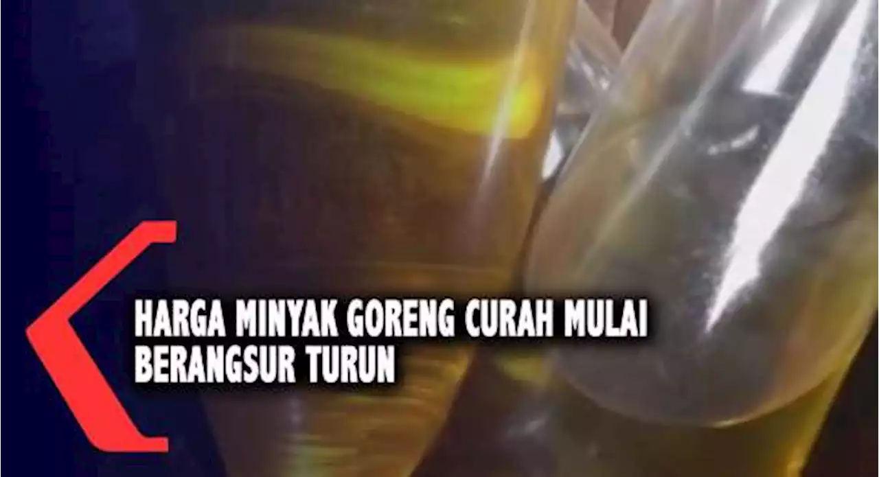 Harga Minyak Goreng Curah Mulai Berangsur Turun