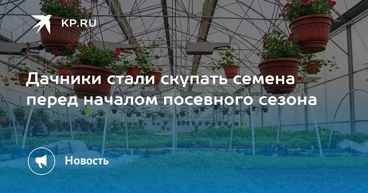 Дачники стали скупать семена перед началом посевного сезона