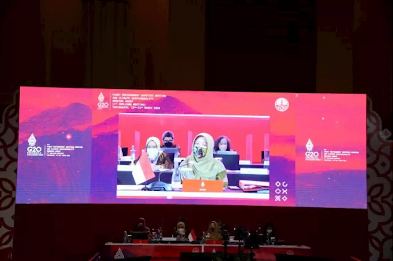 Negara G20 Komitmen Perkuat Upaya Perlindungan dan Pengelolaan Air