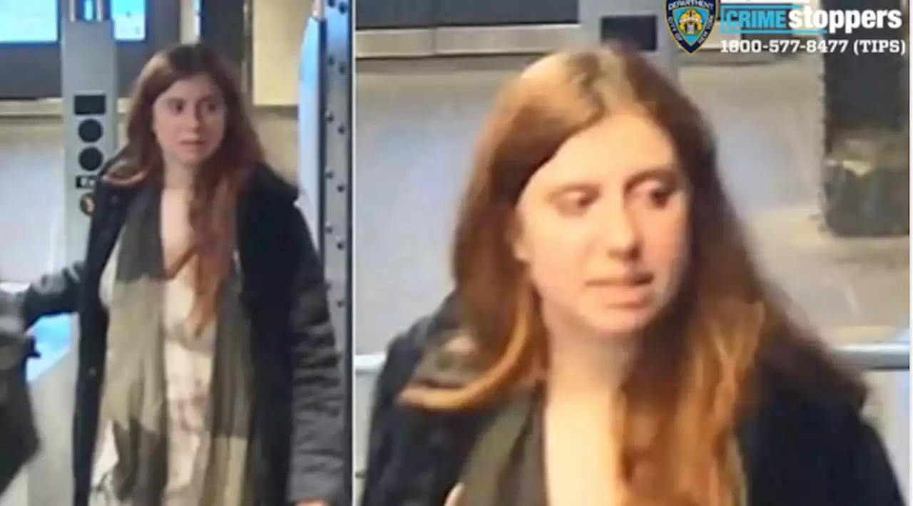 Woman sought in fatal Manhattan shoving allegedly tried to hide, even deleting wedding website