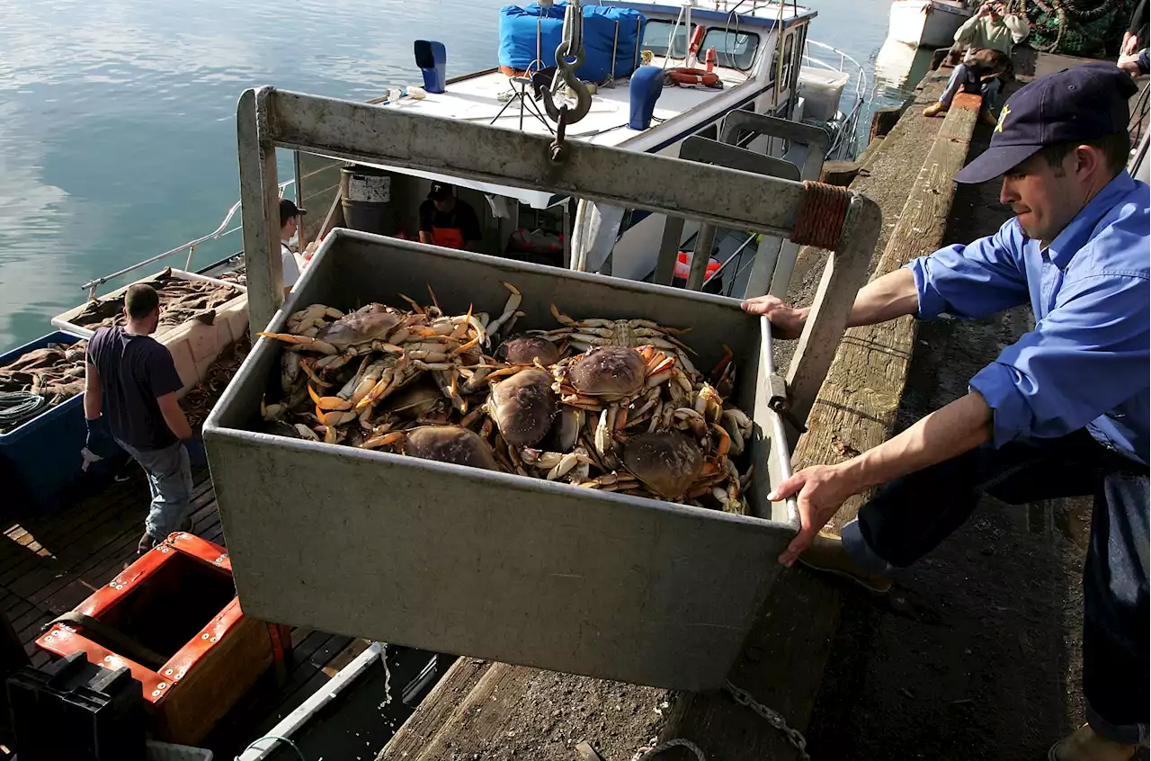 Crab Fishing Closures Recommended After Whale Entanglements