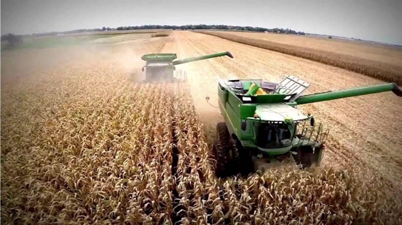 Países agrícolas en alerta por el gran aumento de precios en fertilizantes