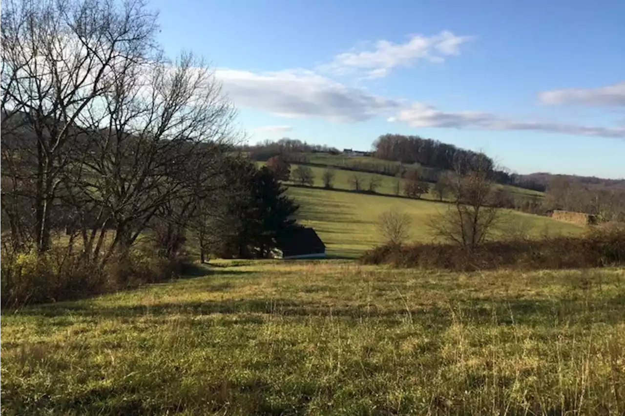 182 acres of farms and woods preserved off Chester County creek