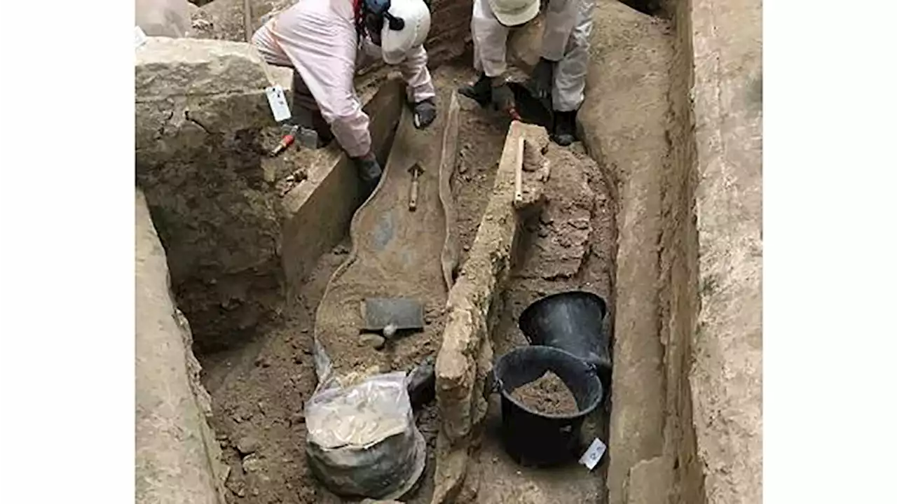 A 700-Year-Old Sarcophagus Was Just Discovered Beneath the Notre-Dame Cathedral