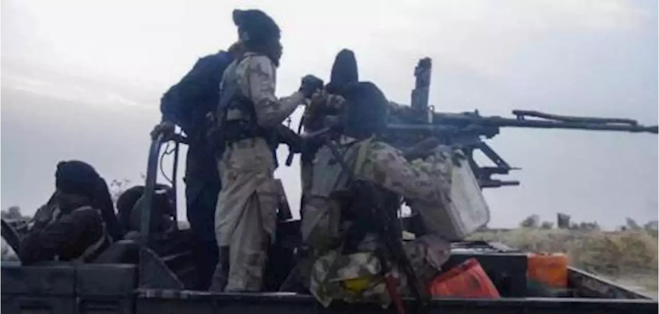 Over 7000 Boko Haram, ISWAP Terrorists Surrender In One Week — Nigerian Army | Sahara Reporters