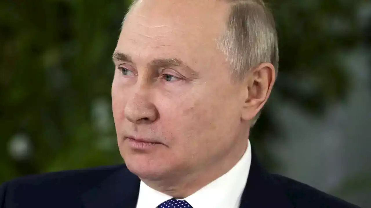 'He wants to': Vladimir Putin plans to attend G20 summit in Bali