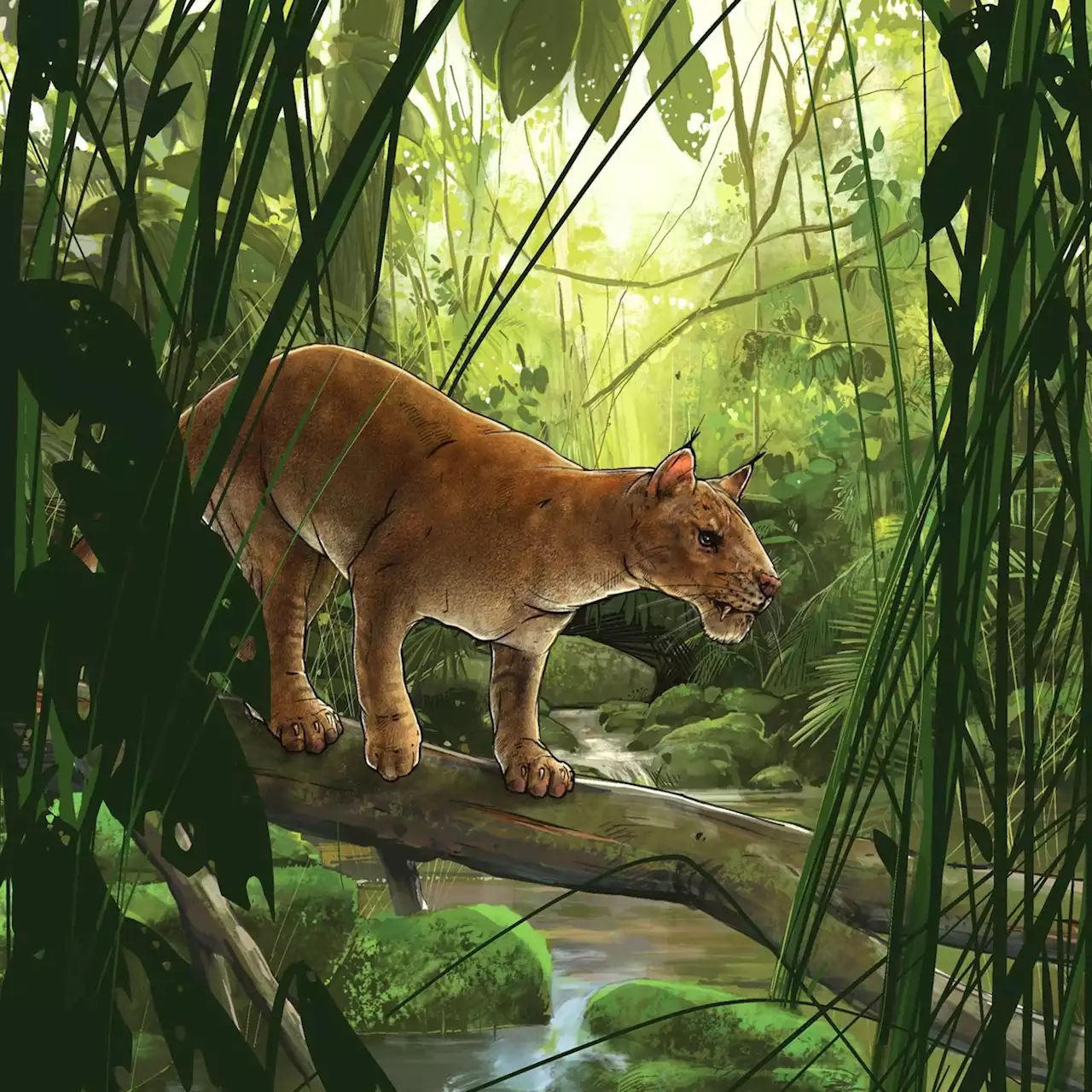 Saber-Toothed Mammal Fossil Unearthed in California | Sci-News.com