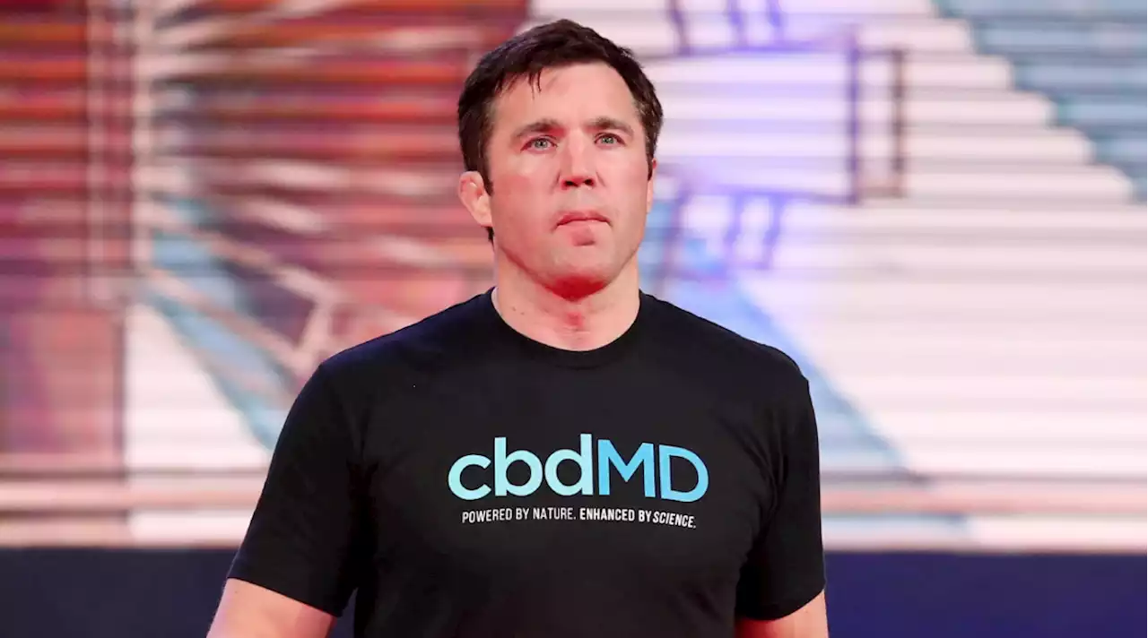 UFC: Chael Sonnen Charged With 11 Counts of Battery