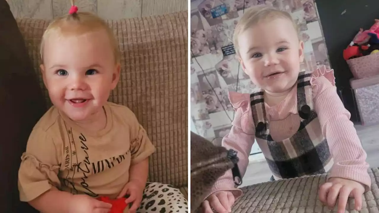 St Helens dog attack: Bella-Rae Birch named as 17-month-old toddler mauled to death at home