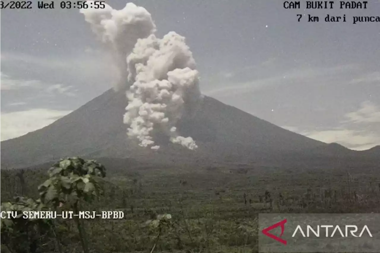 Gunung Semeru Kembali Luncurkan Awan Panas Sejauh 4 Km ke Tenggara