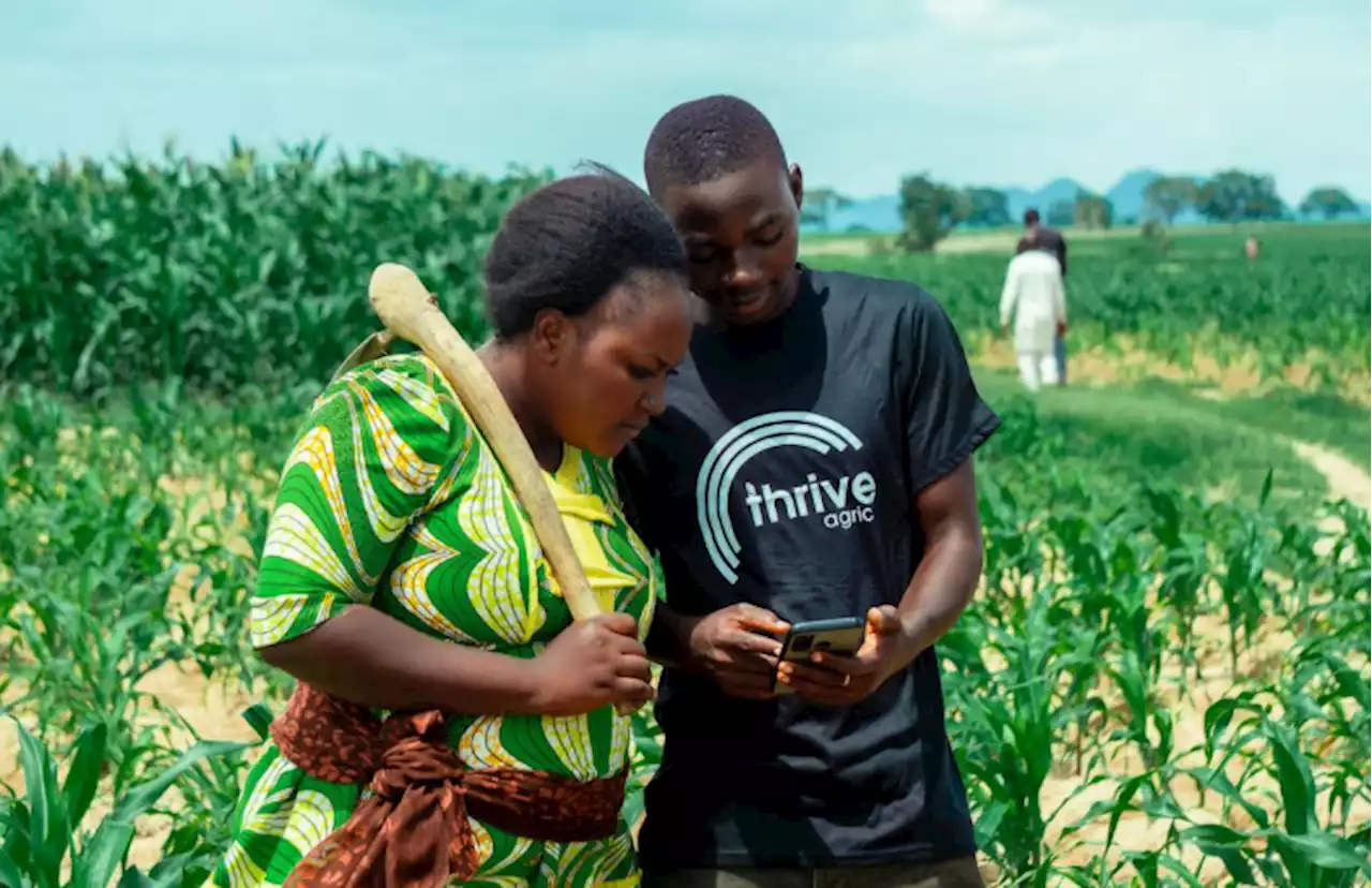 ThriveAgric secures $56.4m debt funding to expand operations to Ghana, Kenya | TheCable