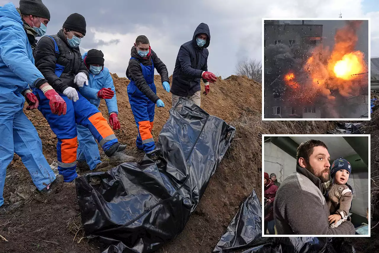 Dying kids 'eat dogs & drink radiator water' as Putin lays waste to Mariupol