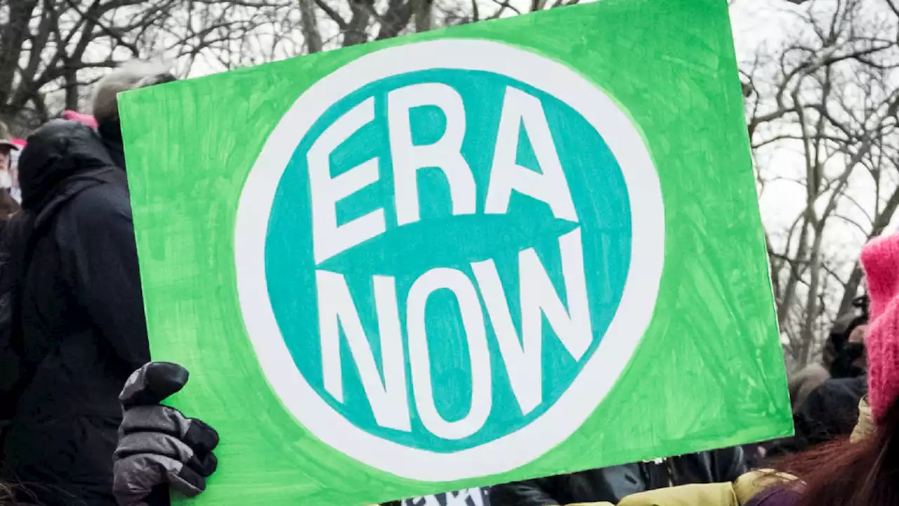 Dark Money “Women’s Groups” Are Using Anti-Trans Scaremongering to Oppose ERA Dark Money “Women’s Groups” Are Using Anti-Trans Scaremongering to Oppose the Equal Rights Amendment