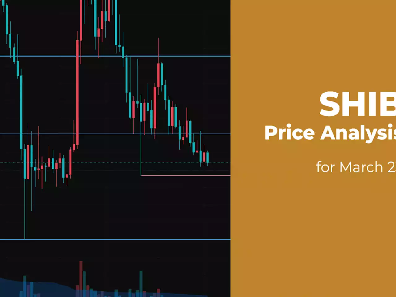 SHIB Price Analysis for March 23