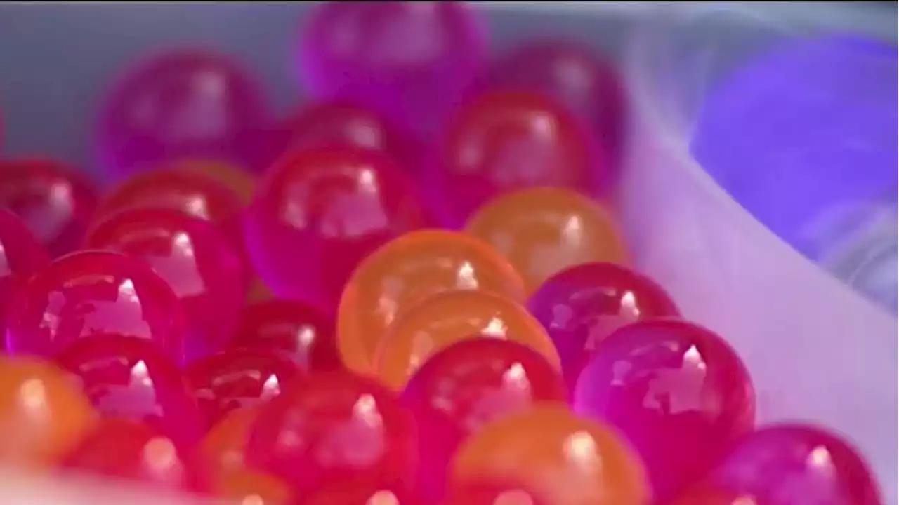 Jacksonville police investigate multiple reports involving Orbeez