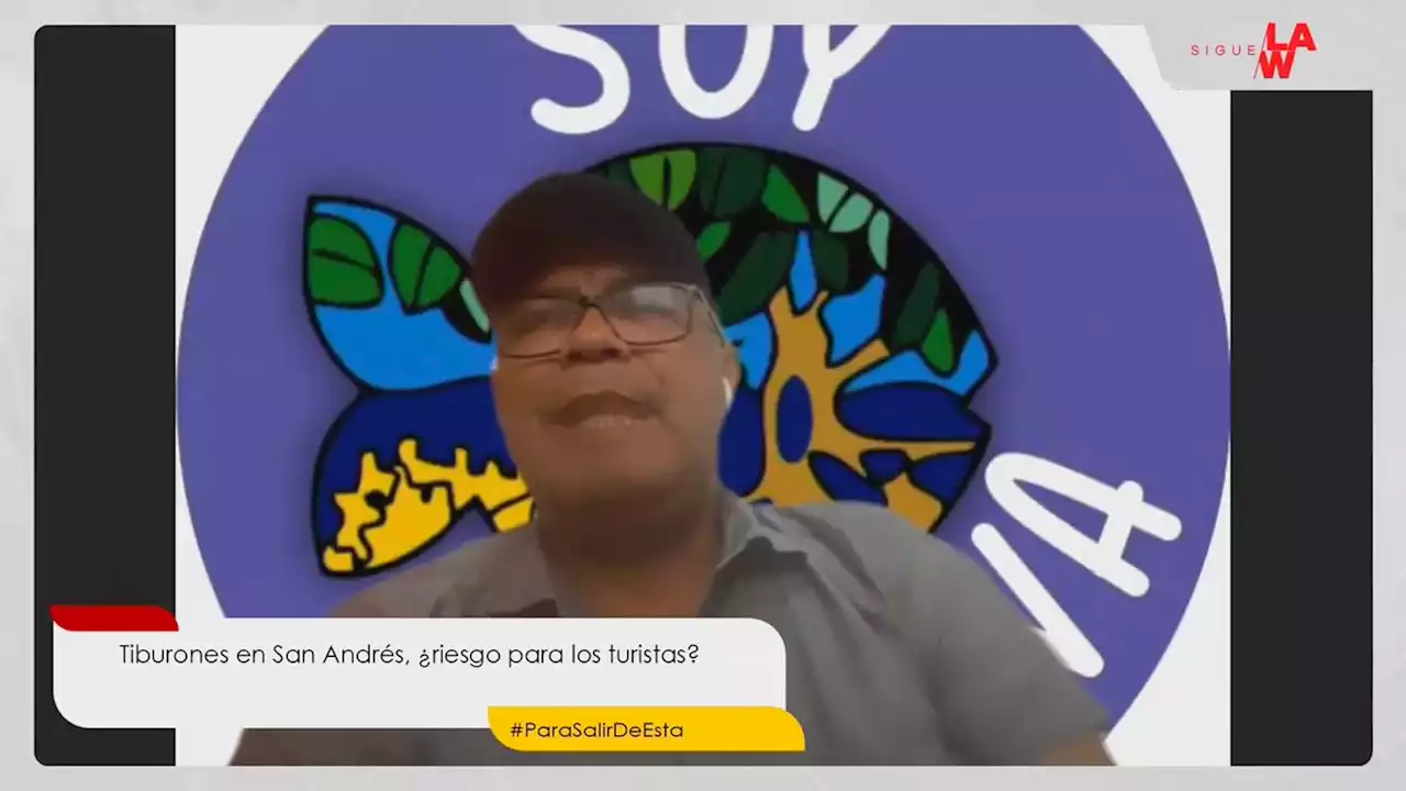 Tiburones en San Andrés, ¿riesgo para los turistas?