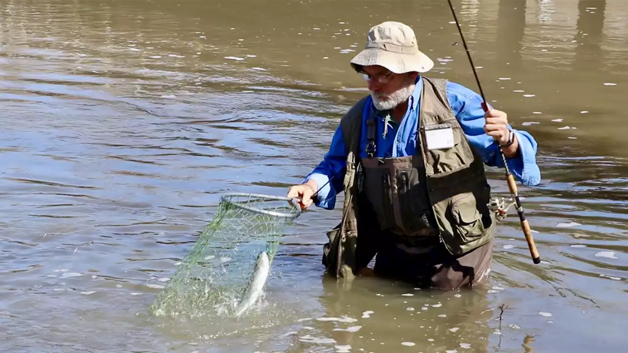 Spring Trout Fishing Starts with a Small Splash in Illinois