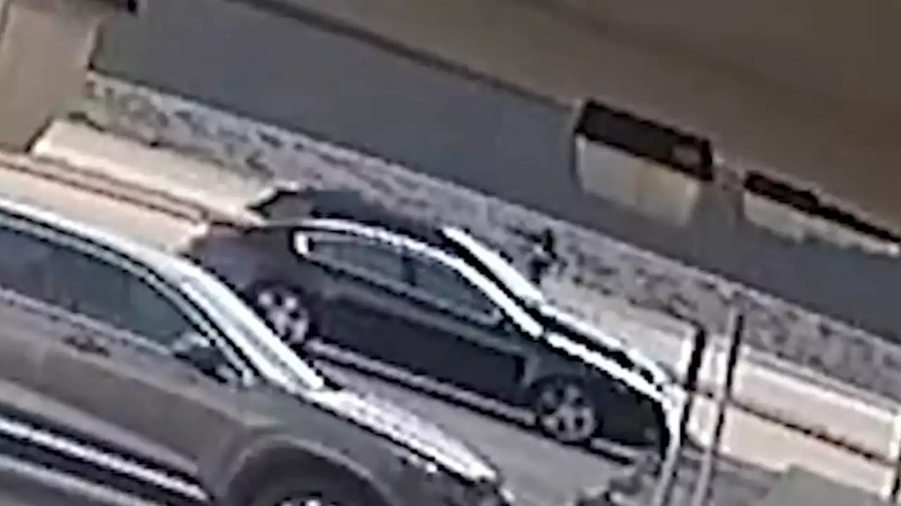 New video shows moments before 16-year-old was shot in head by 13-year-old in NW Harris County