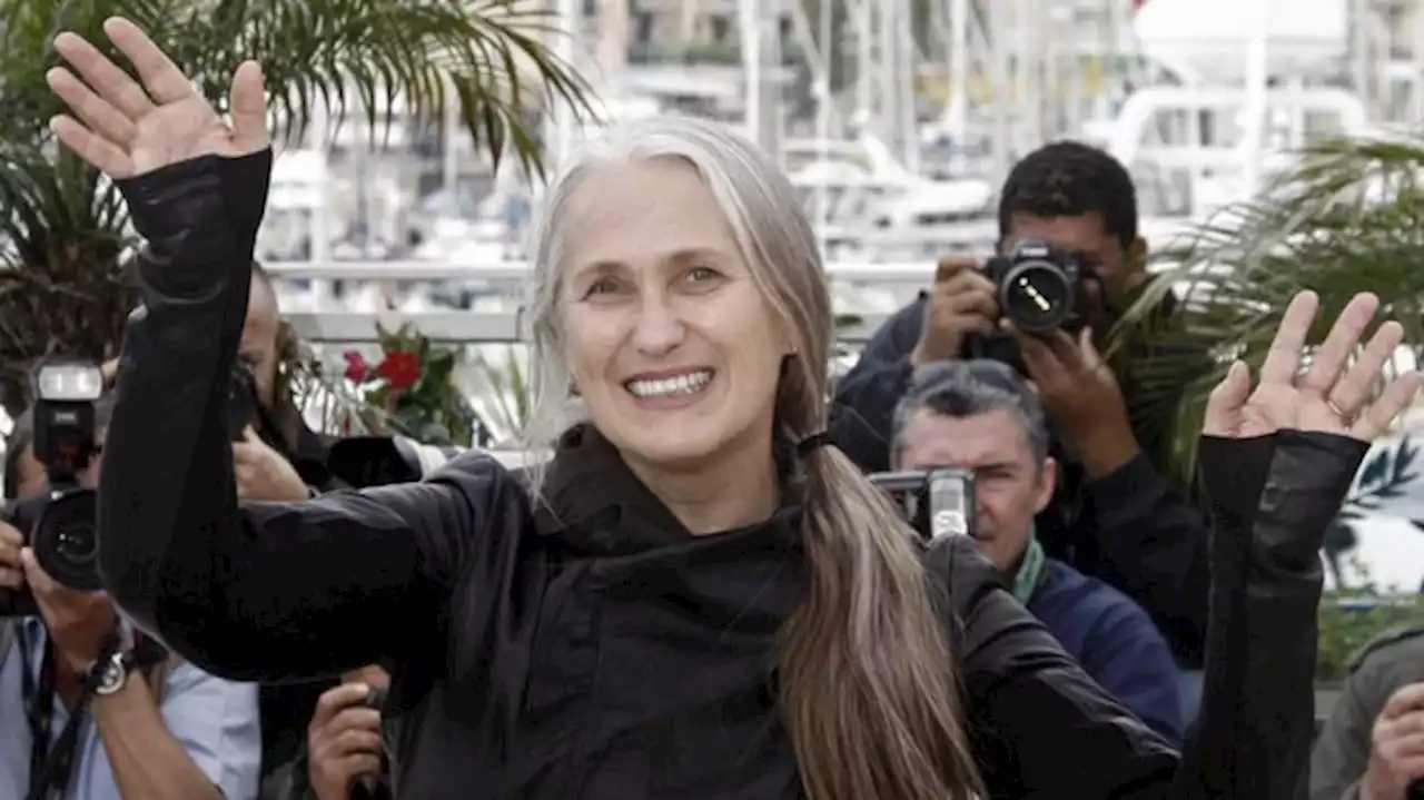 Oscar a la Mejor Dirección: todos los cañones apuntan a Jane Campion