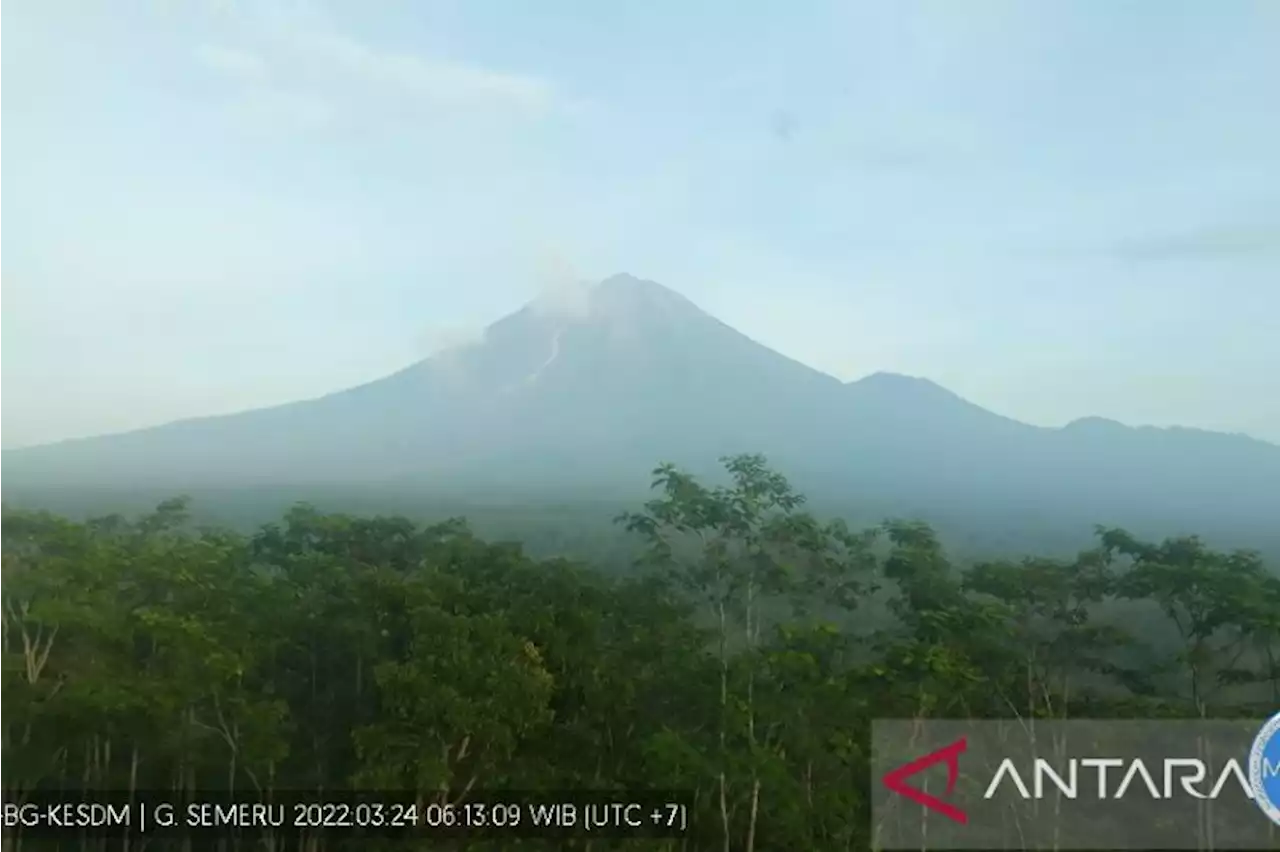 Hingga Kamis siang, Gunung Semeru alami 24 kali letusan