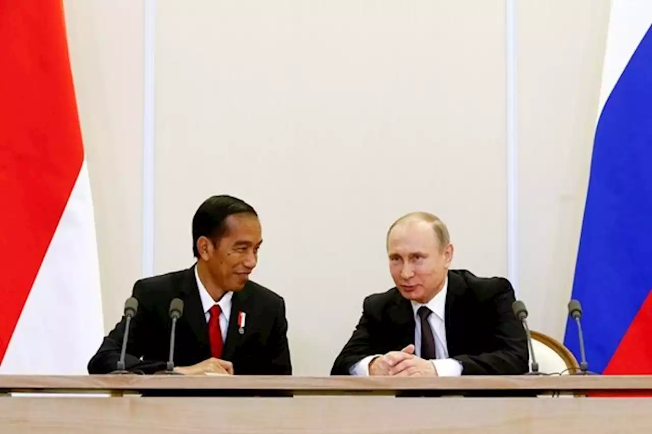 DPR Pastikan Presiden Rusia Vladimir Putin Hadir di KTT G20 Bali | Kabar24 - Bisnis.com