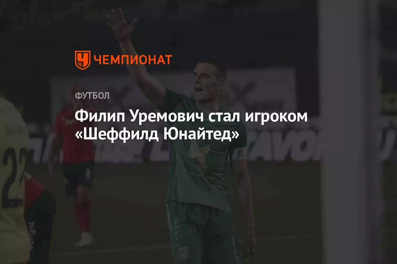Филип Уремович стал игроком «Шеффилд Юнайтед»