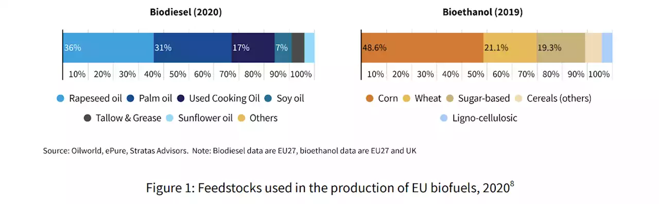 Food Crisis: Europe Burns Equivalent of 15 Million Loaves of Bread Every Day in Cars