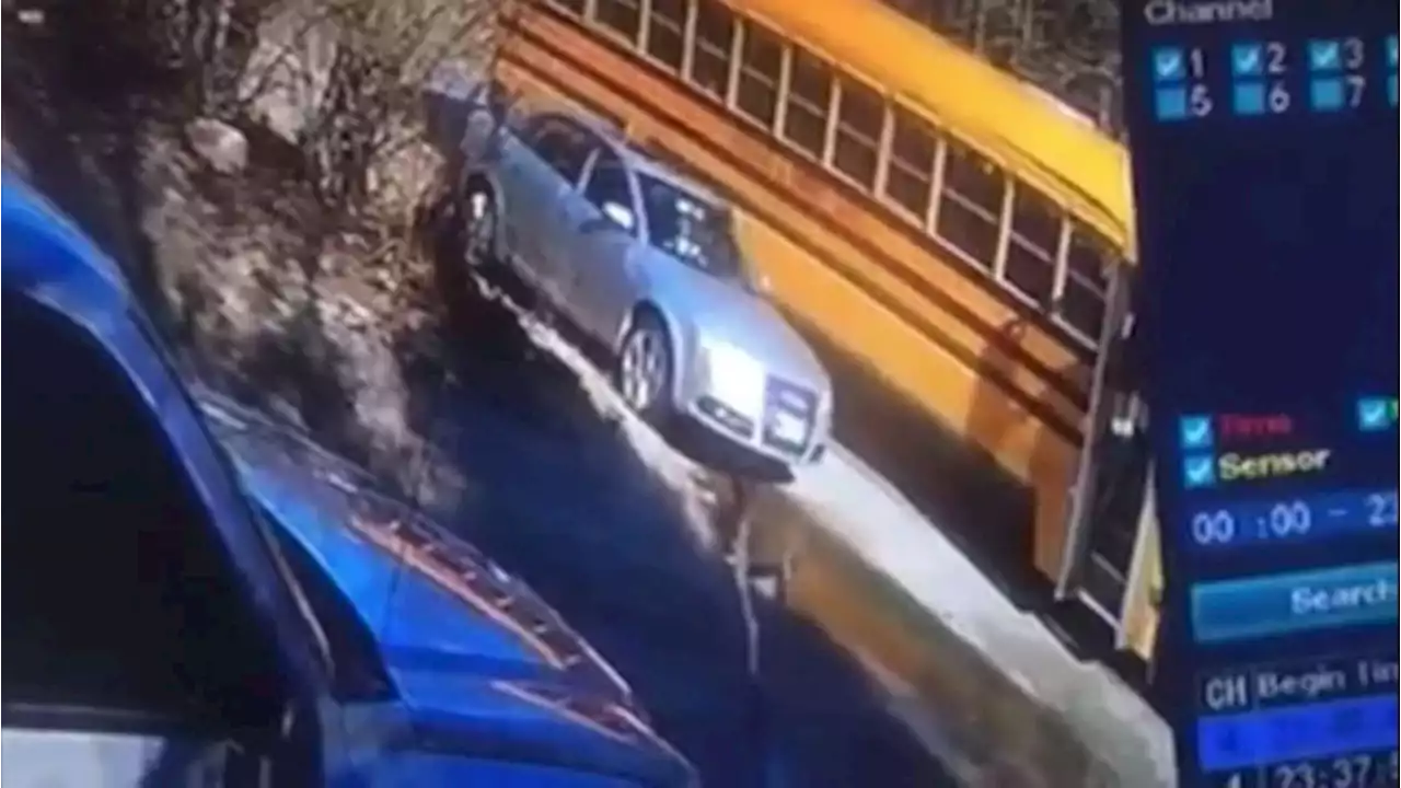 VIDEO: Bus driver saves 7-year-old from illegally passing car