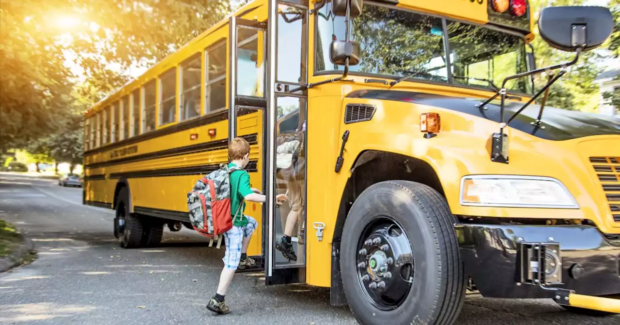 Former school bus driver admits to bribing 12-year-old girl for explicit images