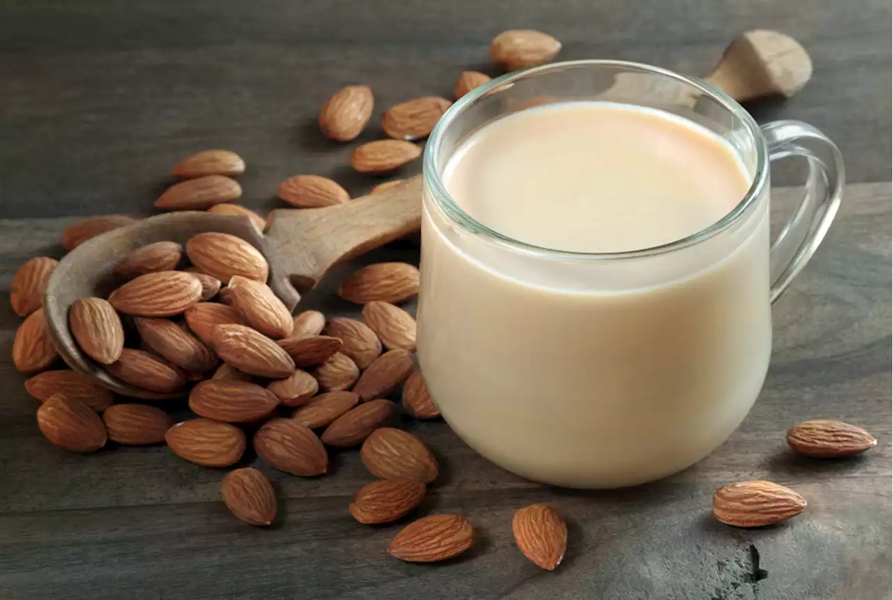 People Went Crazy for Almond Milk in the Middle Ages