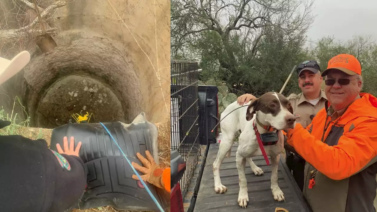 Dog rescued after she fell 50 feet down an abandoned well in South Texas