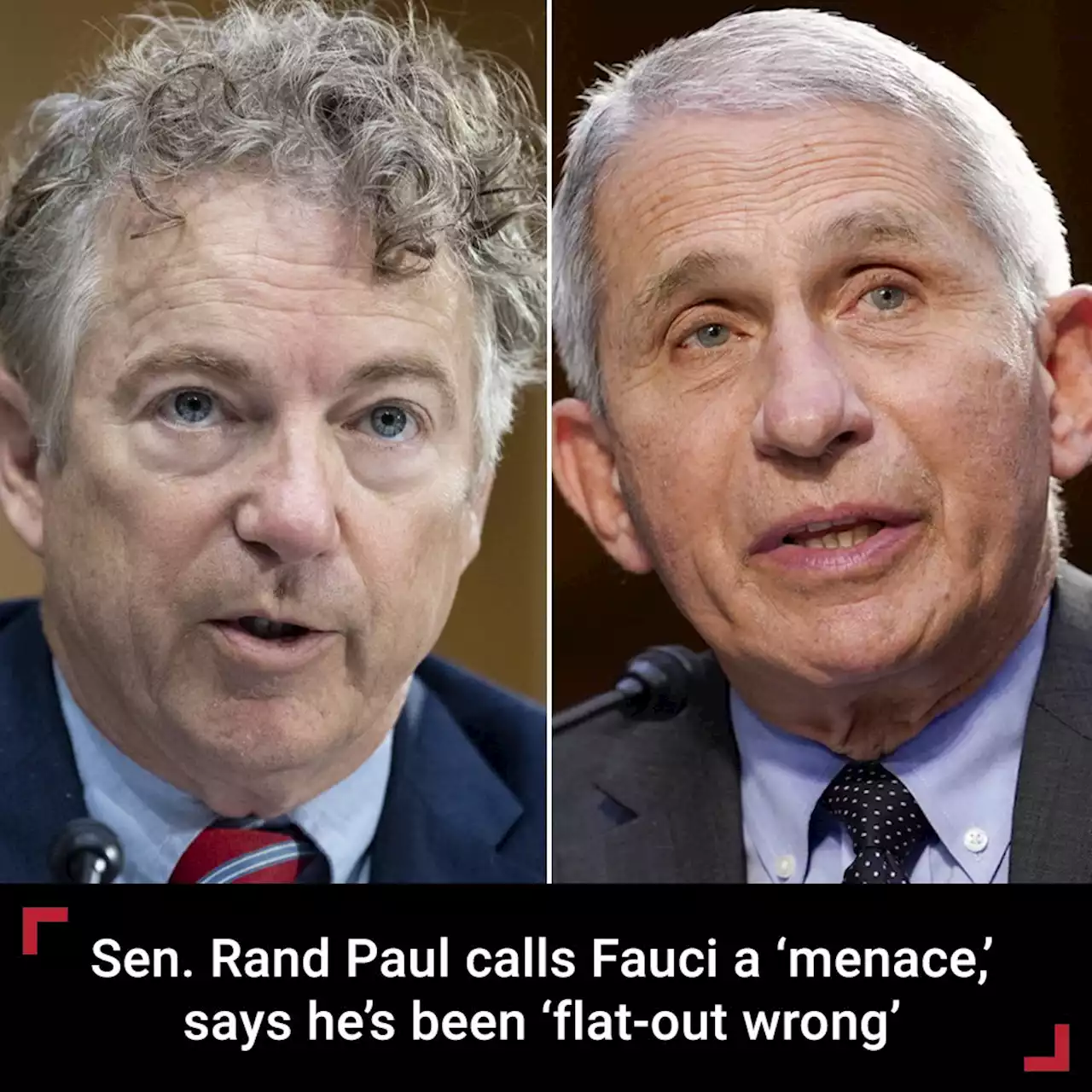 Sen. Rand Paul: Fauci a 'menace,' nothing he has advised on COVID has worked except vaccine