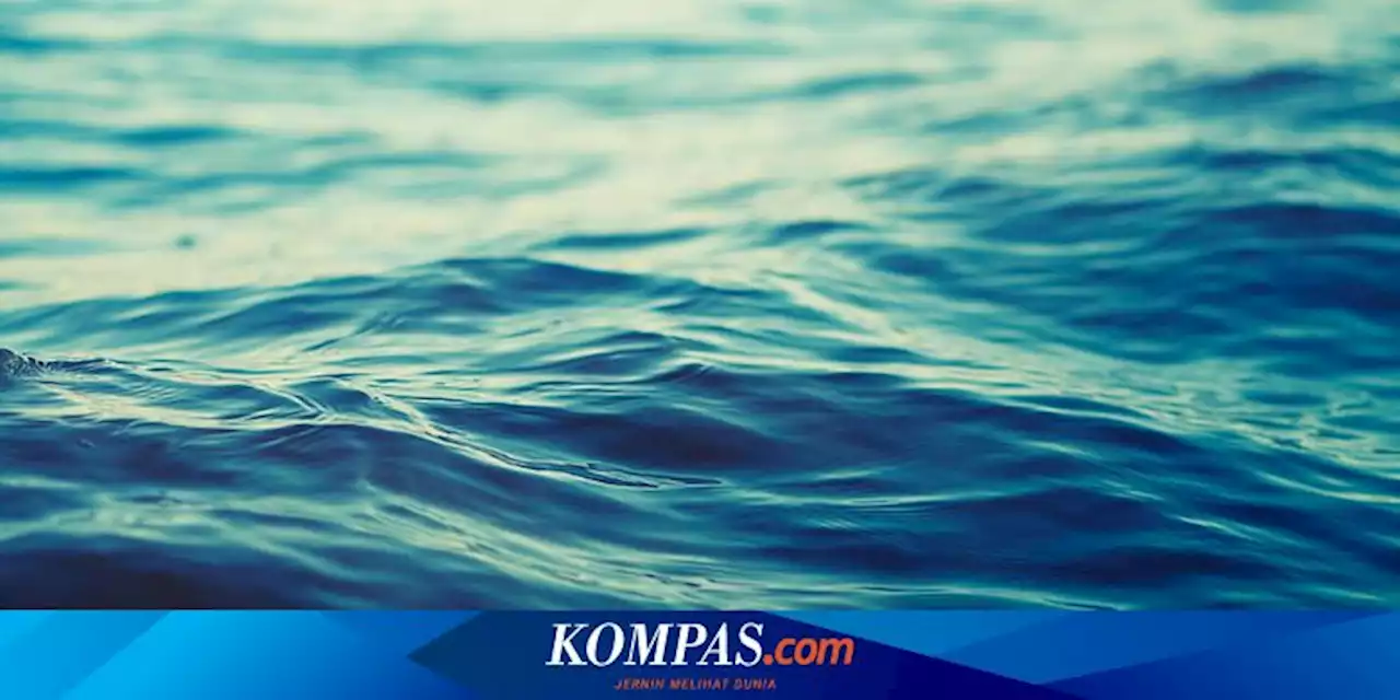 Cuaca Buruk dan Gelombang Tinggi, 7 Penumpang Speedboat yang Tenggelam di Laut Maluku Belum Ditemukan