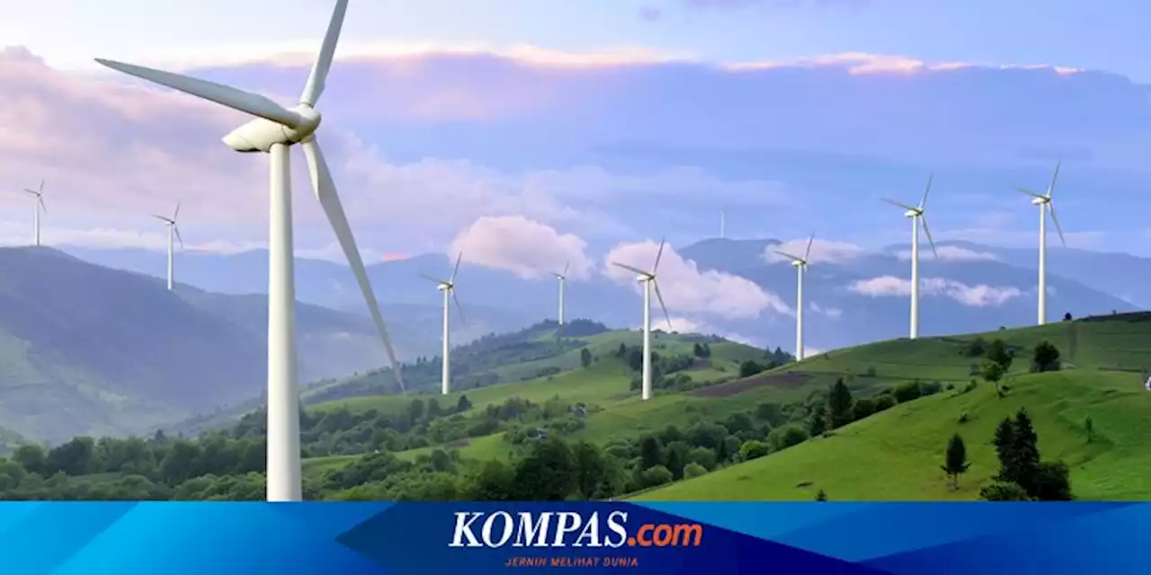 Kontribusi Milenial Bisa Percepat Transisi Energi, Seperti Apa?