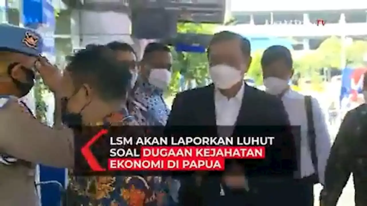 Sejumlah LSM Akan Laporkan Menko Marves Luhut Soal Dugaan Kejahatan Ekonomi di Papua