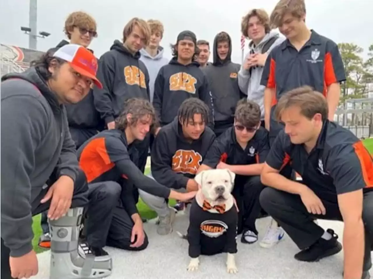 Local rugby team rescues injured dog, makes him the team mascot