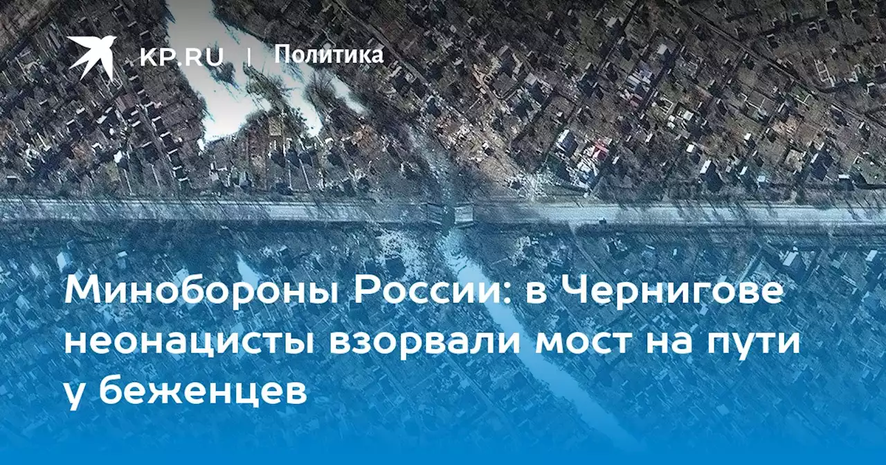 Минобороны России: в Чернигове неонацисты взорвали мост на пути у беженцев