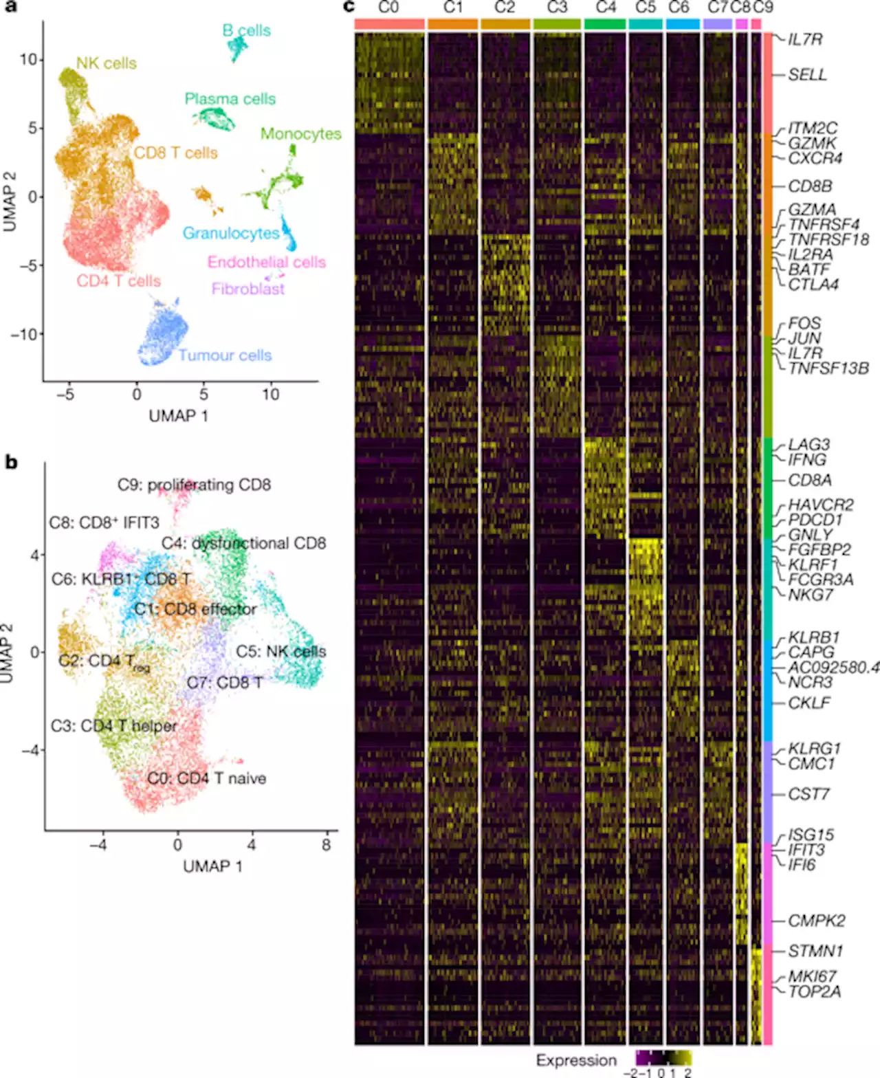 Androgen receptor activity in T cells limits checkpoint blockade efficacy - Nature