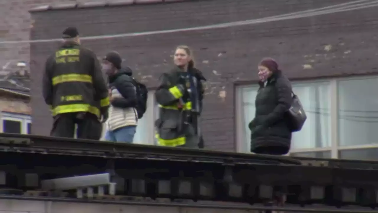 Service Suspended on Multiple CTA Train Lines Due to Fire Department Activity